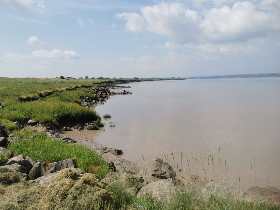 Summer work on the reserve